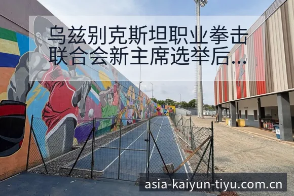 乌兹别克斯坦职业拳击联合会新主席选举后排名变化与签表分析 - 开云体育