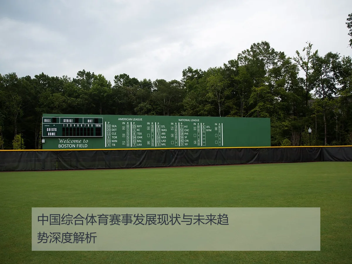 中国综合体育赛事发展现状与未来趋势深度解析